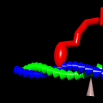 The group functions within the environment of the Institute for Theoretical Physics, in the Department of Physics, of Stellenbosch University, ...