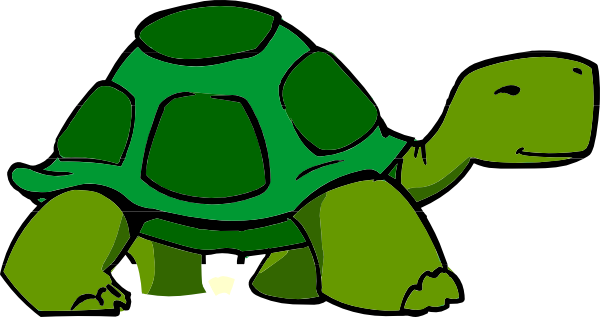 Turtle clip art green turtle hi