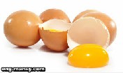 طرق تقدير جودة القشرة  Eggshell Quality Determination 1 - 5