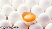 طرق تقدير جودة القشرة  Eggshell Quality Determination 2 - 5