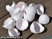 طرق تقدير جودة القشرة  Eggshell Quality Determination 3 - 5