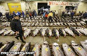 سوق السمك في اليابان وما تخفيه البحار أكثر
