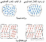 الفيرومغناطيسية Ferromagnetism