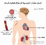 الإجازة الصيفية