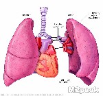 الأم الجديدة دور الأسرة والأصدقاء في مساعدتك