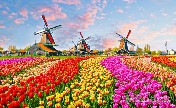 بماذا تشتهر هولندا بالصور - القنوات المائية