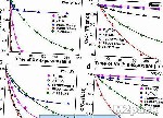 التحلل الضوئي Photolysis