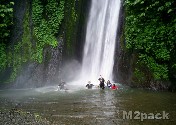 أفضل معالم السياحة في إندونيسيا بالي - غابة القرود