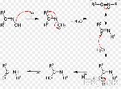 ترتيب بيكمان Beckmann rearrangement