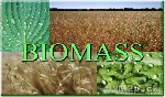 كتلة حيوية Biomass
