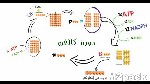 دورة كالفن Calvin cycle