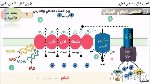 سلسلة نقل الإلكترون Electron Transport Chain