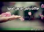 حالات واتس اب حكم قويه - حالات واتس اب عن الدنيا