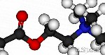 أسيتيل كولين Acetylcholine