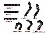 حمض دهني fatty acid