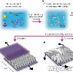 البلورات السائلة liquid crystals