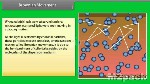 الحركة البراوانية Brownian movement