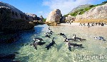 أفضل أماكن السياحة في جنوب أفريقيا ينصح بزيارتها - السياحة في كيب تاون..
