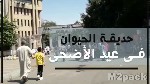 ثالثًا.. حديقة الحيوانات في أبو ظبي..