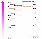 مستويات الطاقة Energy Levels