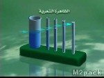 الخاصية الشعرية Capillary action