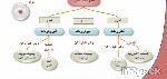 موضوع عن تعريف الذرة ومكوناتها - ما هي الذرة