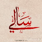 معنى اسم سالي