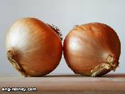 فوائد البصل والثوم للقلب للشعر وللتخسيس Onion Garlic Benefits