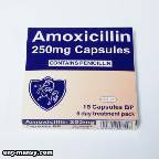 Amoxycillin 21