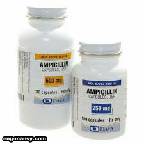 Ampicillin 24
