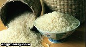 الأرز rice