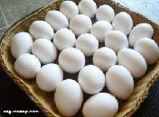 جدول 29 يوضح زيادة عدد البيض الذي تعرضه لصدمة داخل الجسم في البيض الموضوع في الصباح البكر