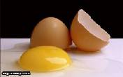 اللون الخارجي لقشرة البيضة eggshell color