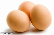 جدول 73 تكلفة إنتاج البيض في ولاية أيوا الأمريكية