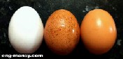 جدول 48 تأثير المستهلك من الكالسيوم للدجاجة في اليوم على جودة قشرة البيضة