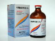 kanamycin