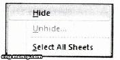 إخفاء ورقة العمل من كتاب العمل 