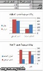 إنشاء التخطيط داخل ورقة العمل