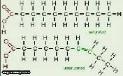 الأحماض المشبعة