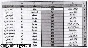 التنسيق الشرطي 