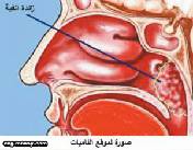 س هل تعود لحمية الأنف بعد إزالتها جراحياً