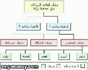 مكونات قاعدة البيانات