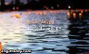 المجتمع يشبه حيوانا سميك الجلد