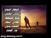 النجاح نسيب دائما