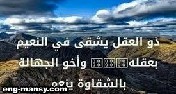 دور الكاتب ليس قول ما يمكننا جميعا قوله