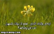 عندما يتطور الحب ويزدهر