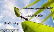 من خلال بذل أقصى جهودك