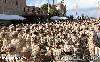 الوفود العسكرية الليبية تختتم اجتماعاتها في القاهرة