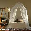 NEWS\MOSQUITO NET