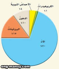 نظرية الخلية